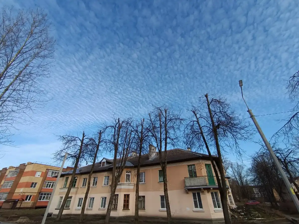 В Великом Новгороде в дневные часы воздух прогреется до 12-14 градусов.