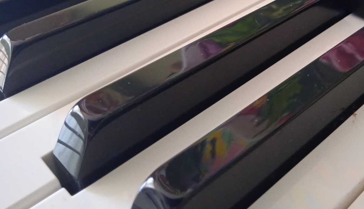 В рамках III сезона культурно-просветительской программы музея-усадьбы «Онег» пройдут концерты, лекции, мастер-классы и субботники.