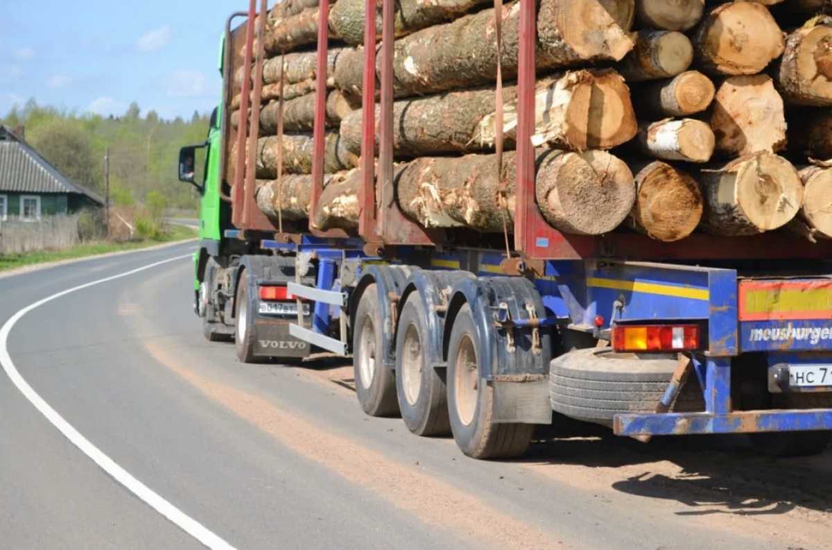 Ограничения не распространяются на социально важные перевозки.