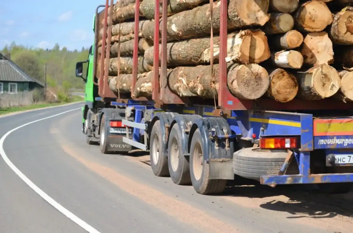 Ограничения не распространяются на социально важные перевозки.