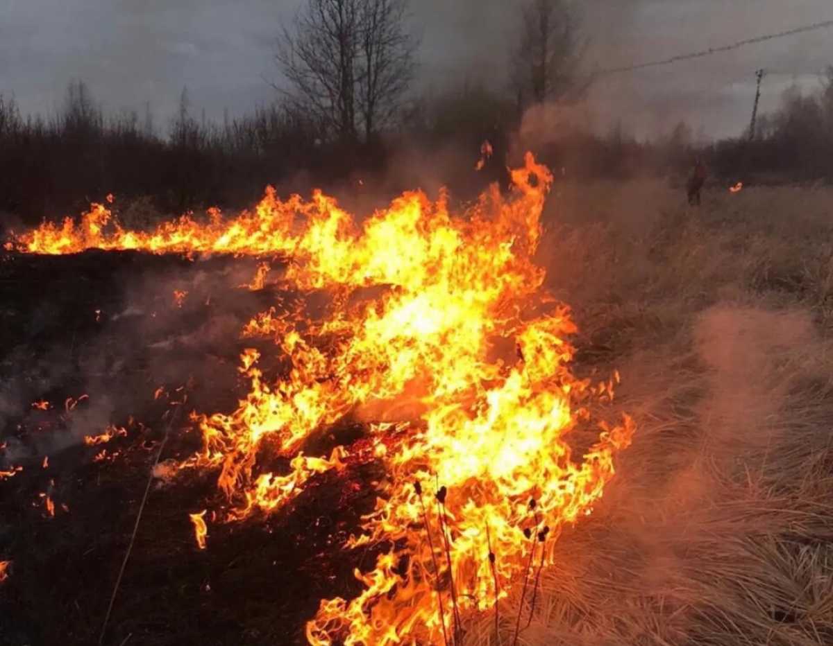 Нарушителей условий противопожарного режима оштрафуют.