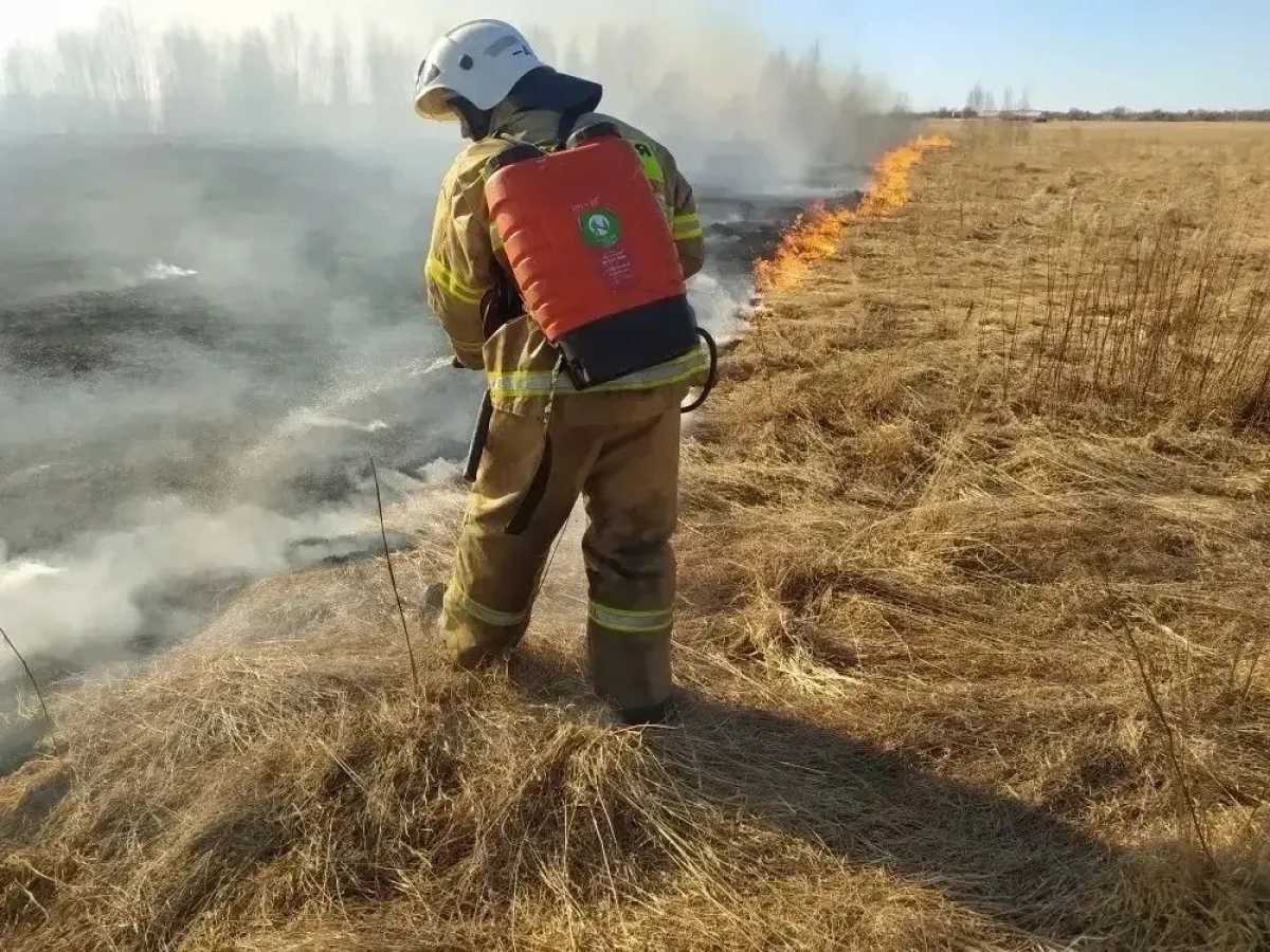 Из-за сухой и тёплой погоды значительно возрастает риск возникновения природных пожаров.