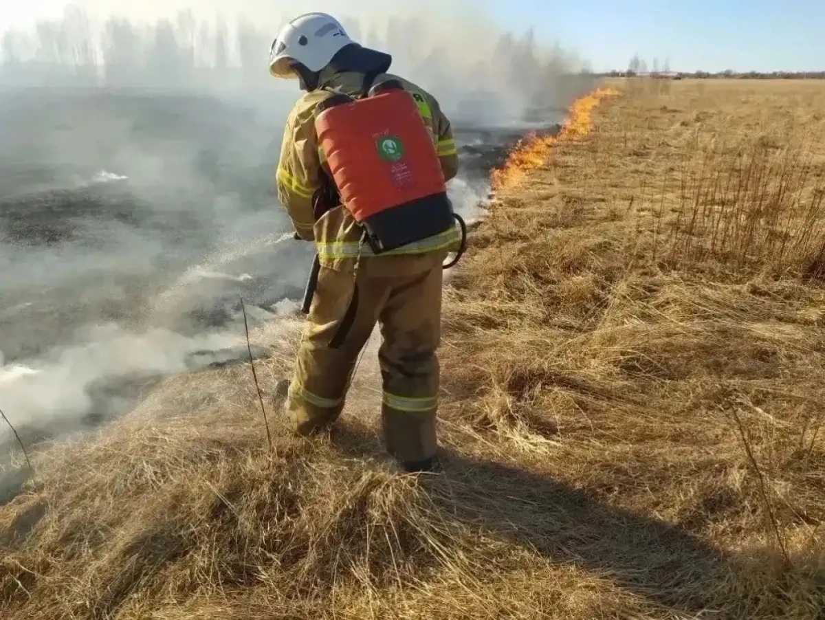 Десять пожаров – пал травы.