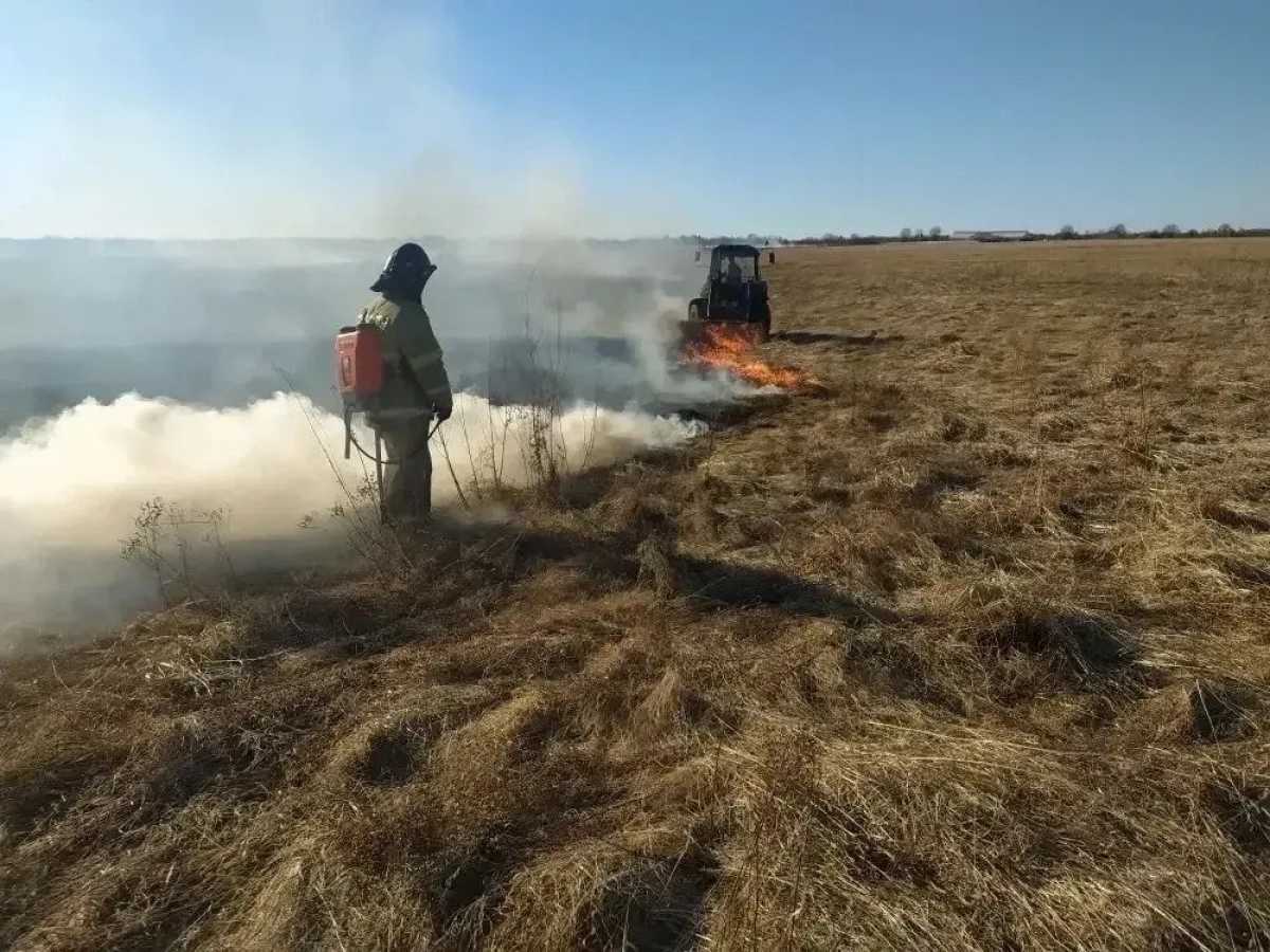 Причины пожаров устанавливают органы дознания.