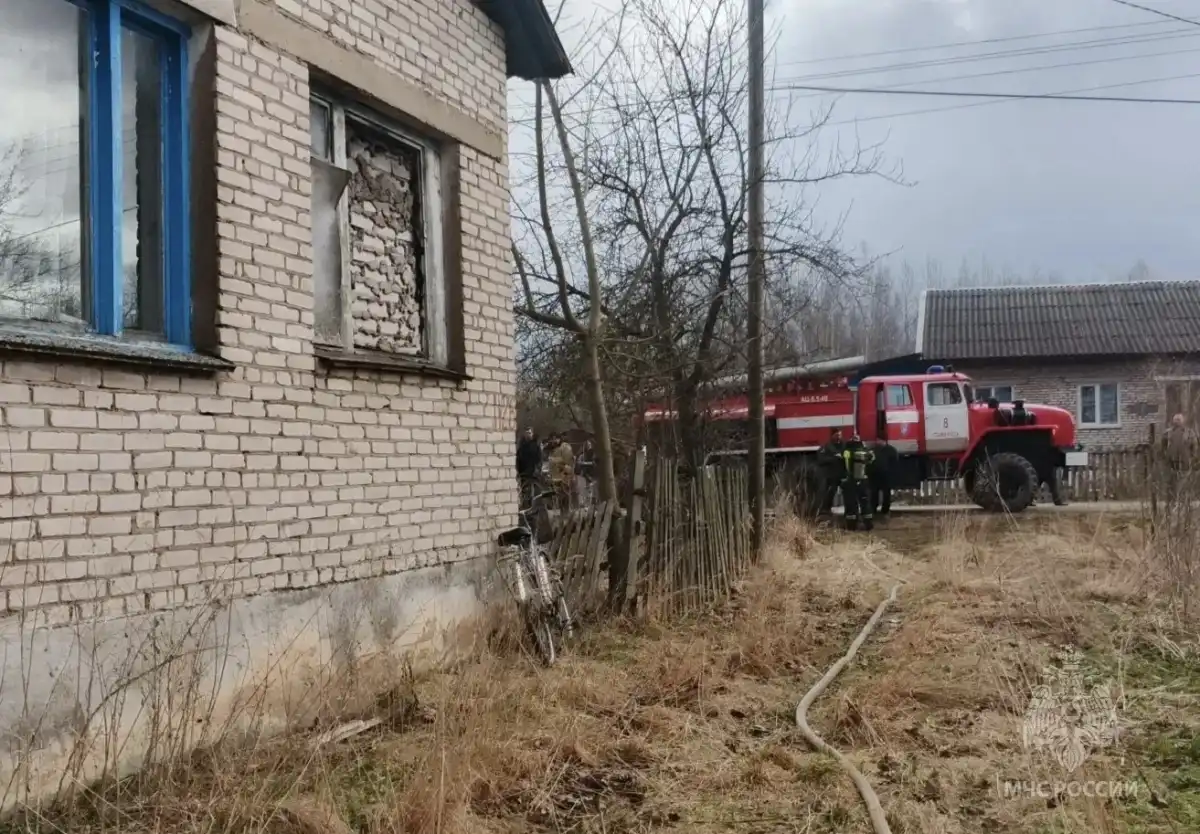 Причины пожаров устанавливают органы дознания.