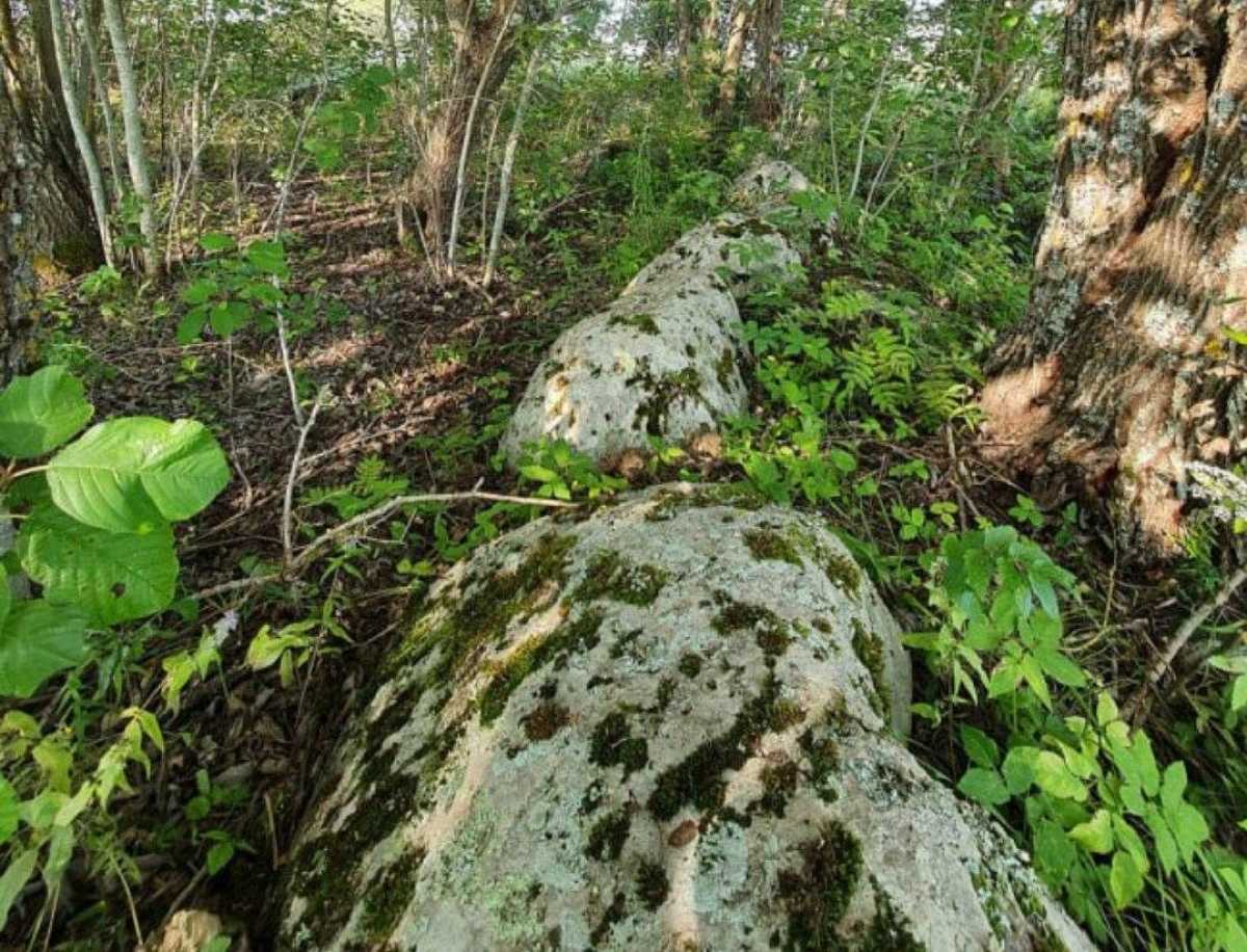 Коломовский круг находится в пяти километрах от юго-западного берега озера Ильмень, у деревни Коломо.