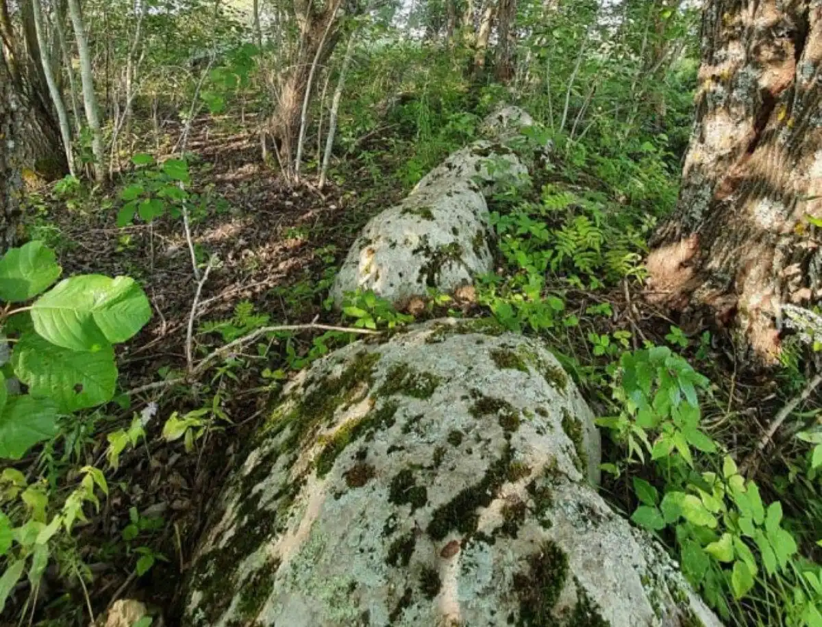 Коломовский круг находится в пяти километрах от юго-западного берега озера Ильмень, у деревни Коломо.