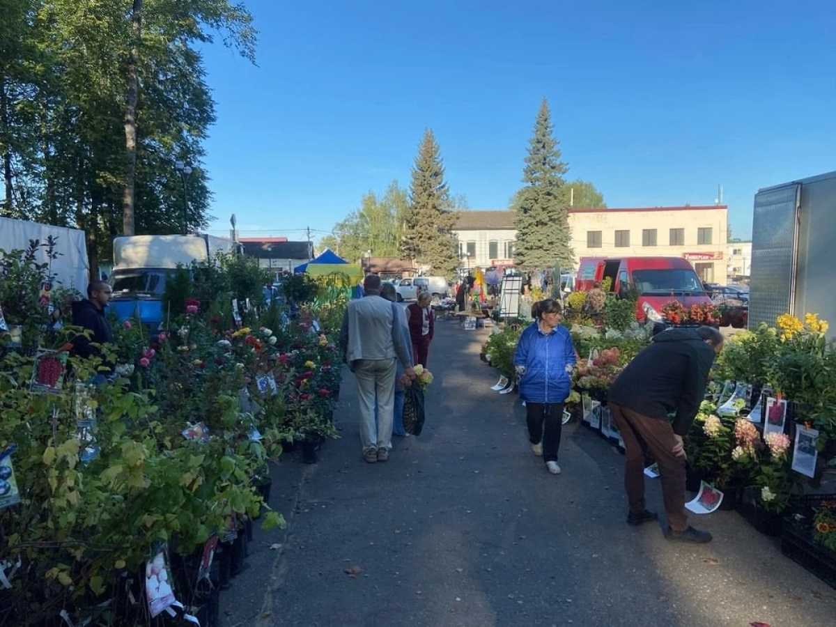 На ярмарках можно приобрести мясо и молочную продукцию, овощи, мёд, хлебобулочные изделия, товары народных промыслов.