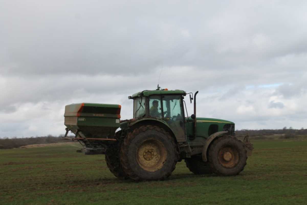 Растениеводы могут получить субсидии на производство, реализацию зерновых культур и приобретение элитных семян.