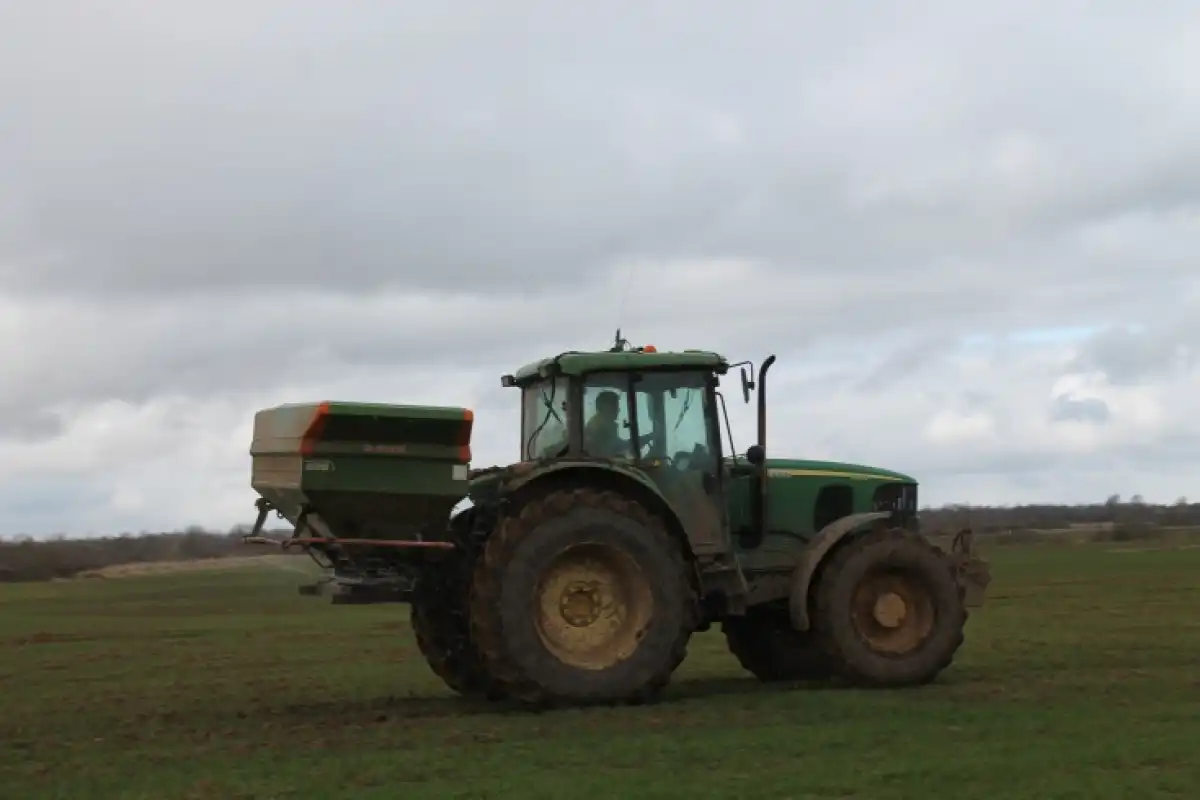 Растениеводы могут получить субсидии на производство, реализацию зерновых культур и приобретение элитных семян.