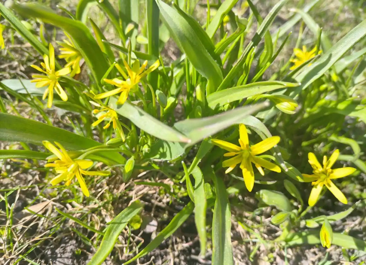 Ночью 9 апреля в регионе возможен небольшой снег, днём существенных осадков метеорологи не ожидают.