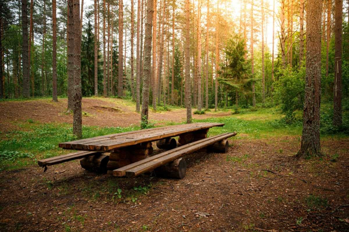 Рекордные 94 тысячи человек посетили за год Валдайский национальный парк