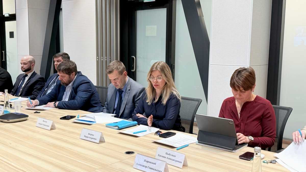 Помимо членов совета, на заседании также присутствовали приглашённые эксперты.