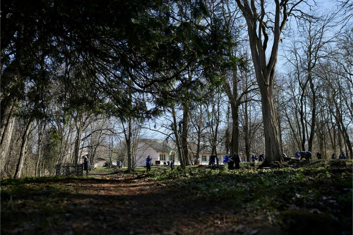 Выбитский парк – памятник садово-паркового искусства XVIII-XIX веков.