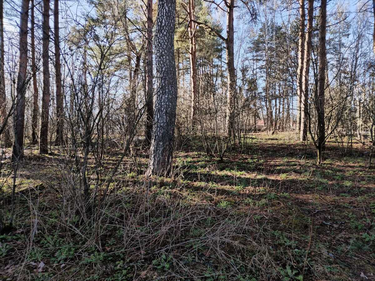 Женщину вывели из леса около полудня 12 апреля.