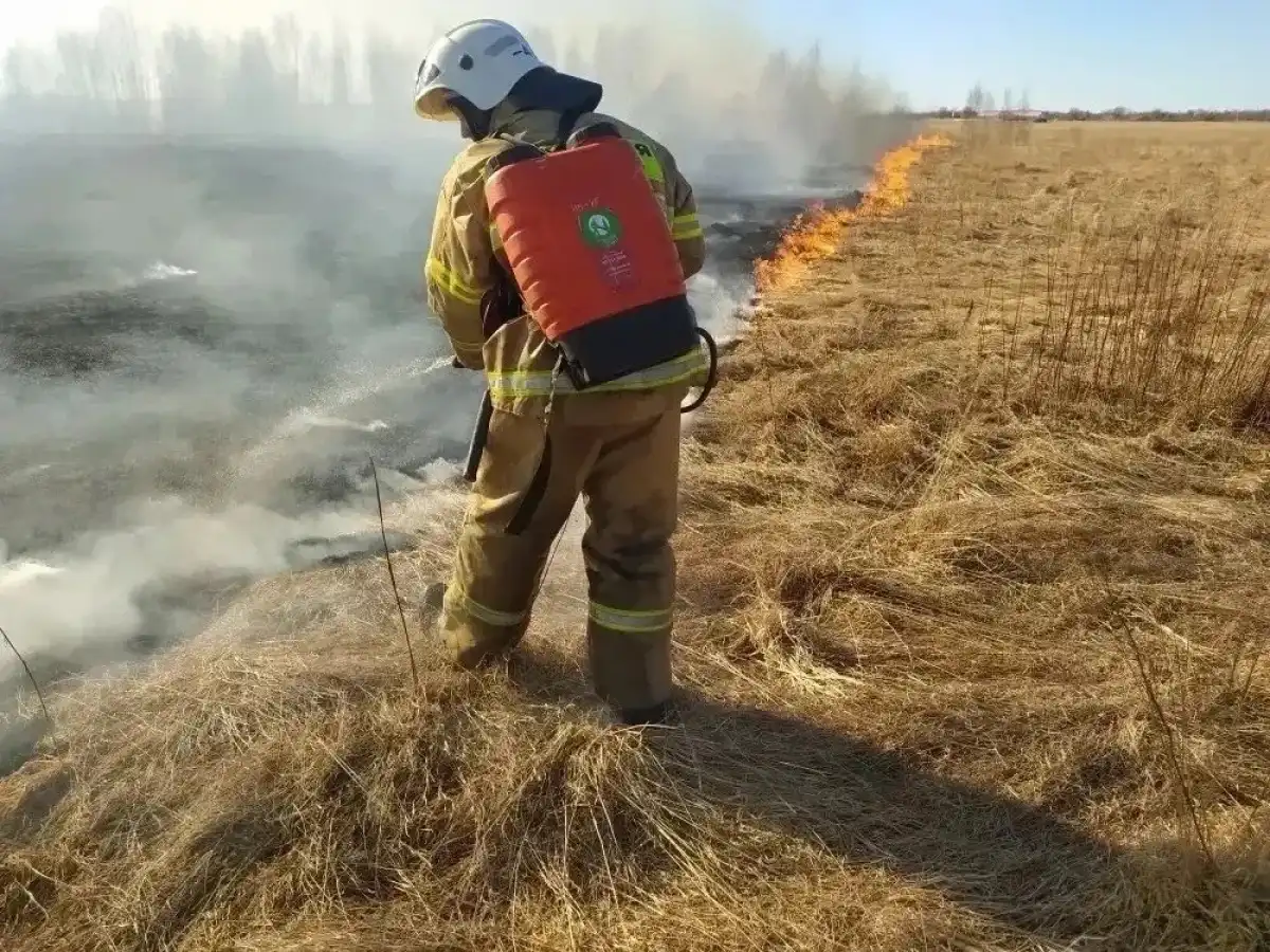 Чаще всего причиной травяных пожаров становятся человеческая невнимательность и безответственность.
