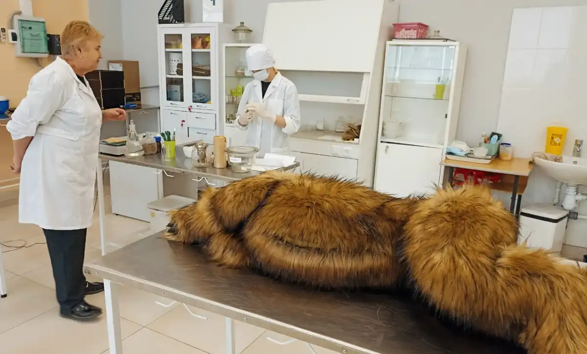 В 2026 году создадут кластеры по сельскому хозяйству и транспорту.