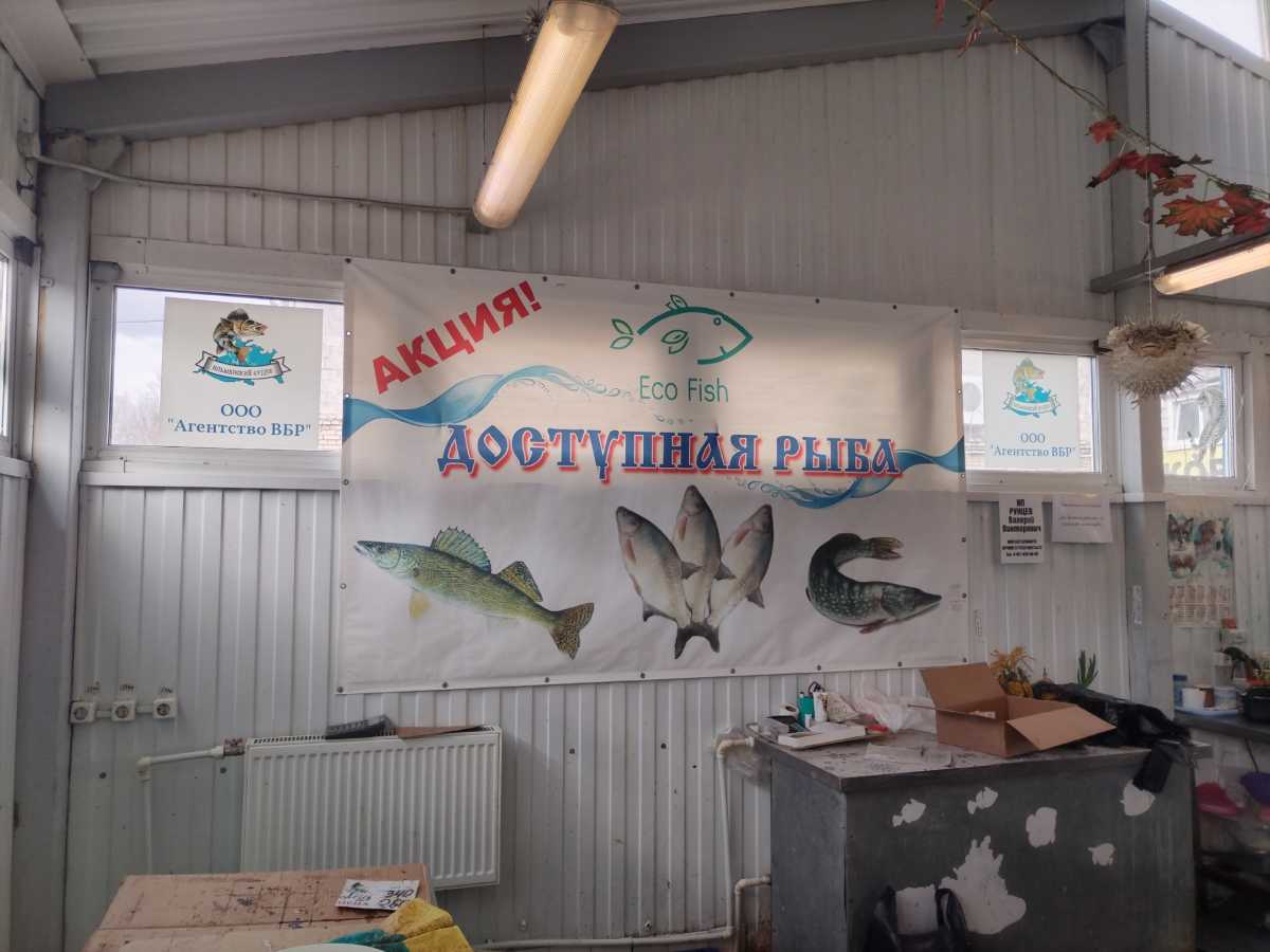 Акция «Доступная рыба» пройдёт в субботу, 18 апреля, в Великом Новгороде на Центральном рынке и Славянкой ярмарке.