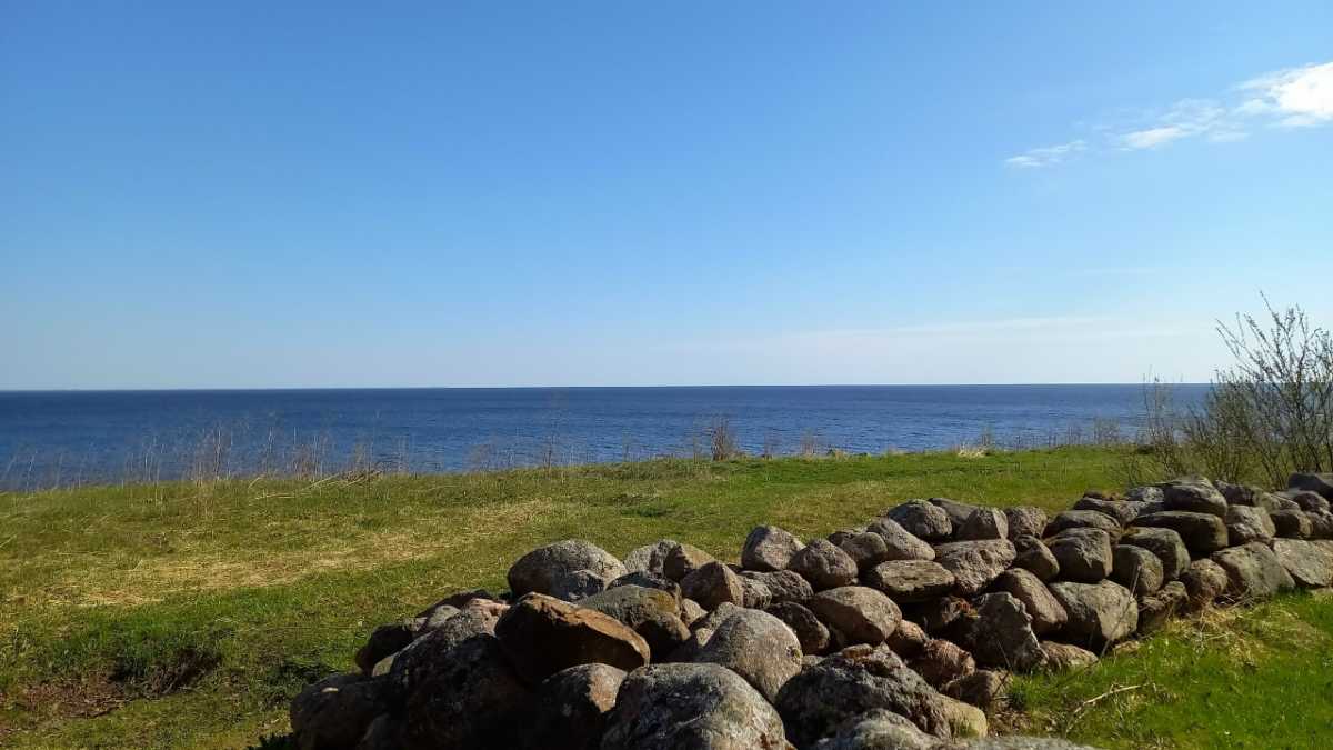 В Коростыни можно полюбоваться видами на озеро Ильмень.