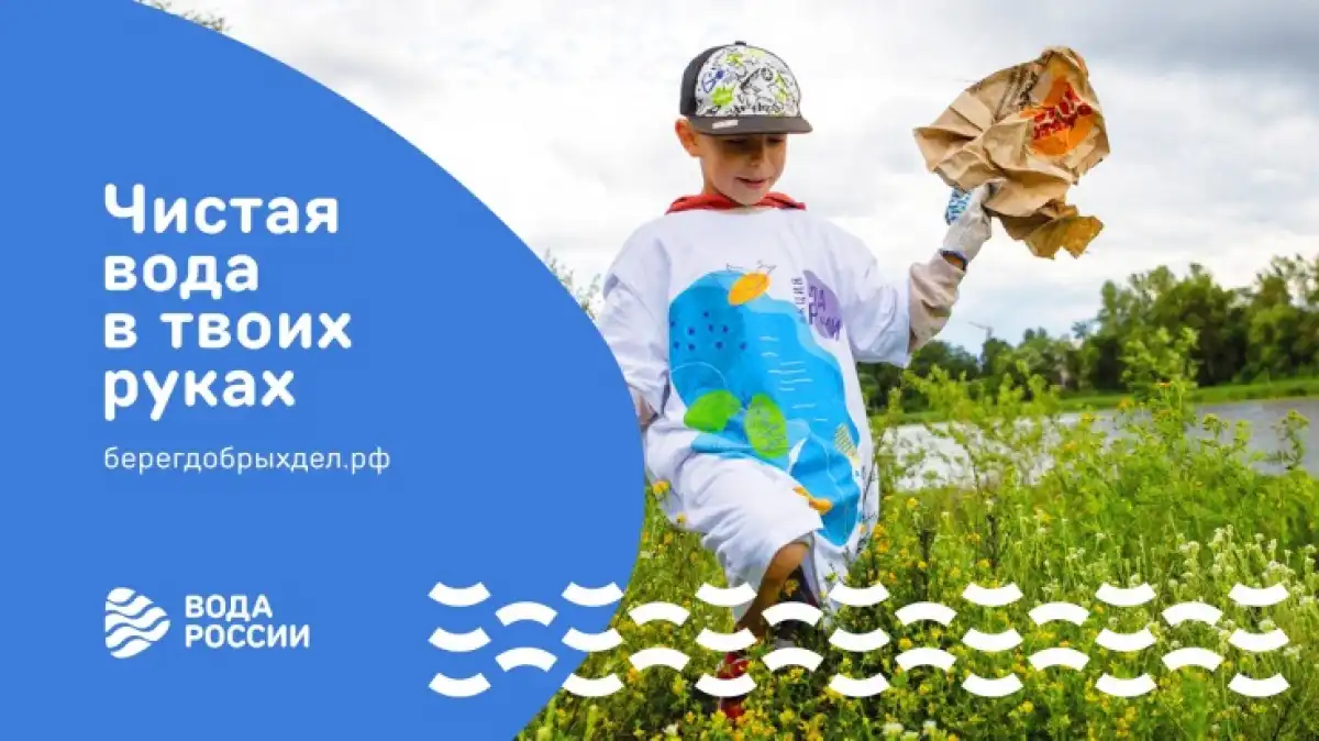 В 2025 году в Новгородской области 1500 волонтёров очистили 65 км берегов озёр и рек.