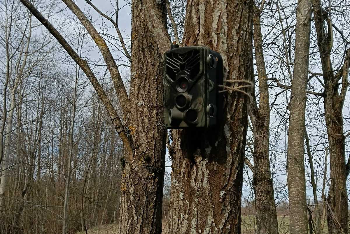 Места размещения фотокамер уже определили.