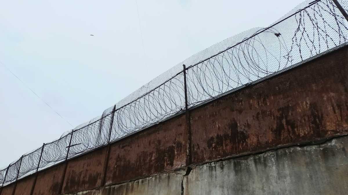 Подсудимый признал свою вину.