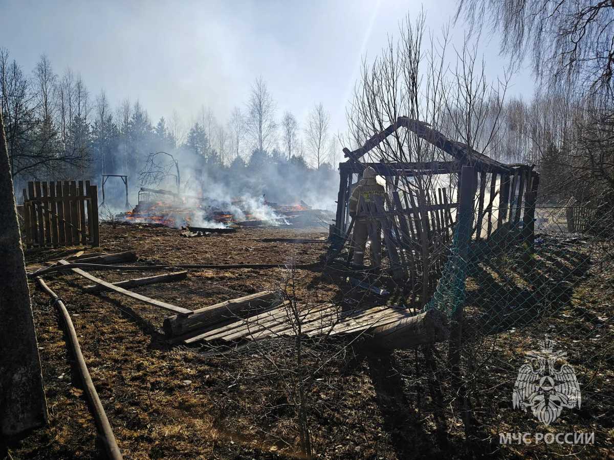 В деревне Фёдово Пестовского округа сгорели четыре дачных дома и пять хозпостроек.