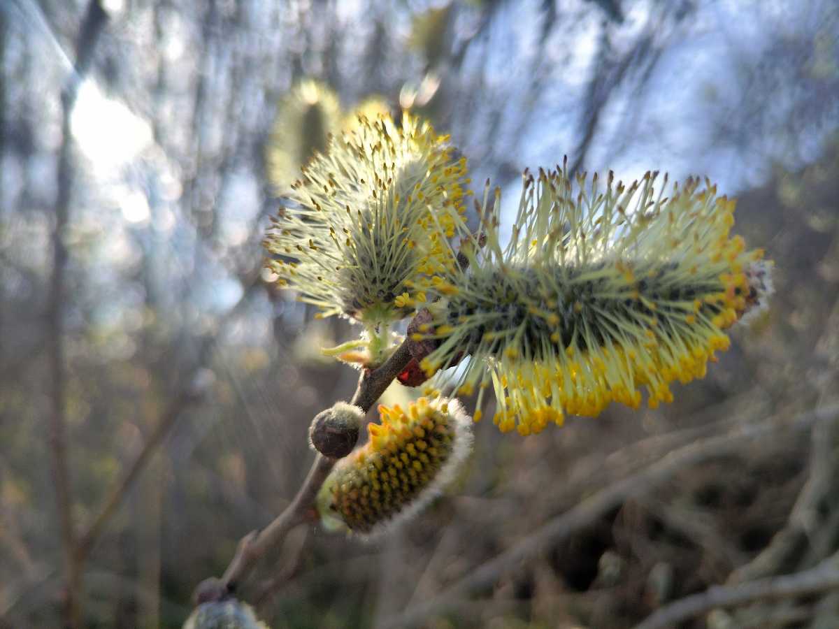 Уже 23 апреля регион ждёт похолодание.