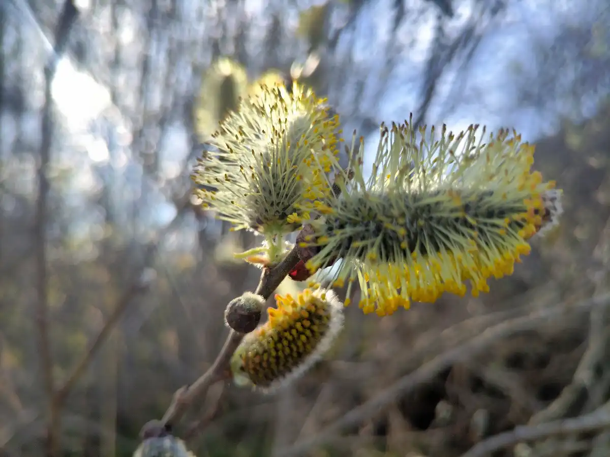Уже 23 апреля регион ждёт похолодание.