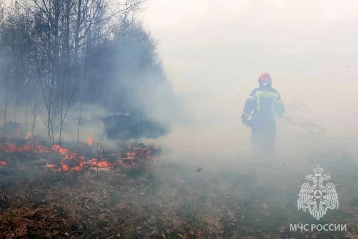 С 20 апреля на территории всей Новгородской области действует особый противопожарный режим.