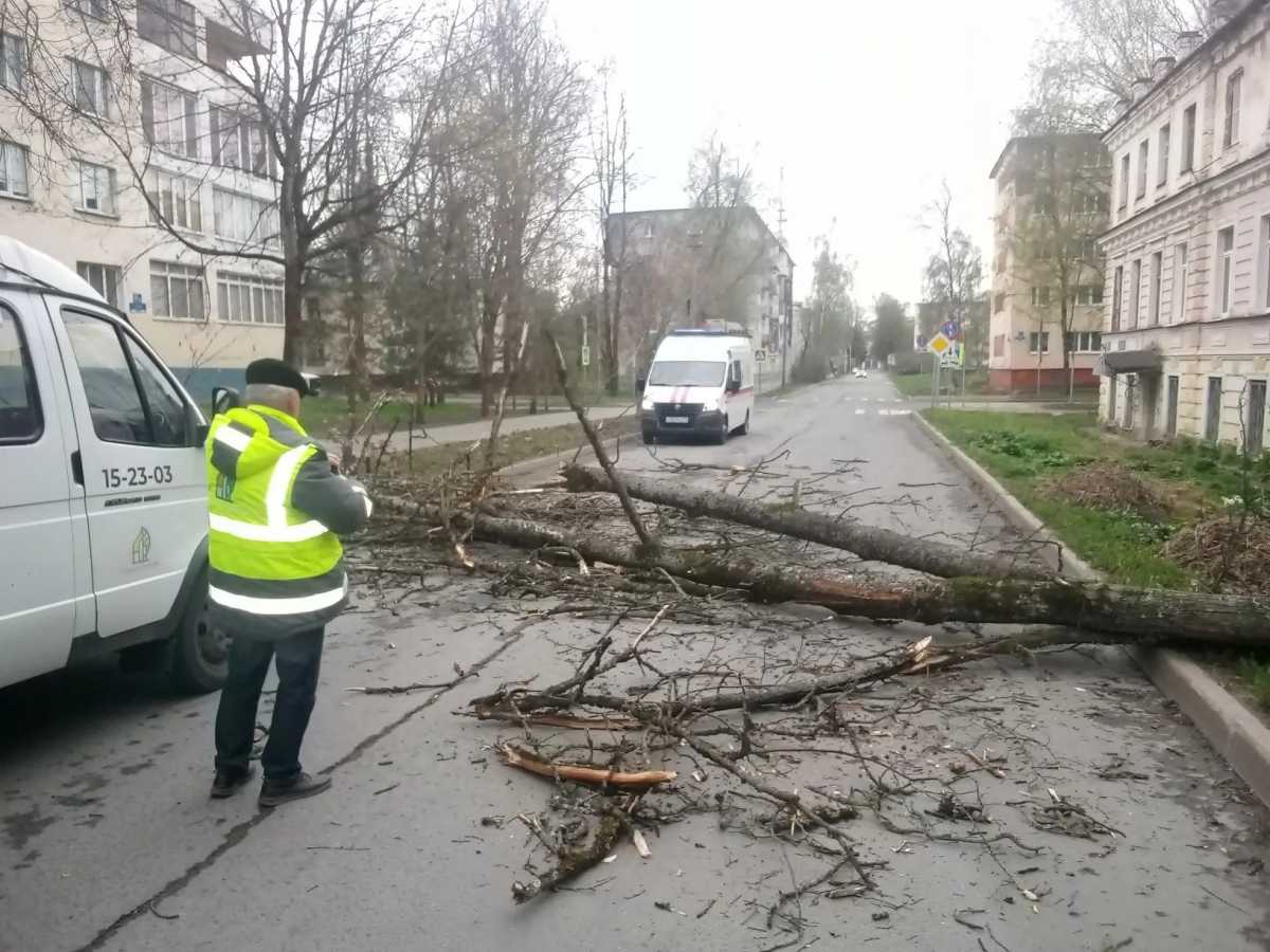 Дорогу освободили от упавшего дерева и убрали порубочные остатки.