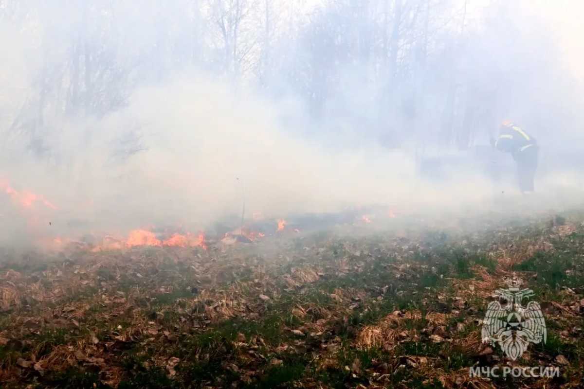 Причины пожаров устанавливают органы дознания.