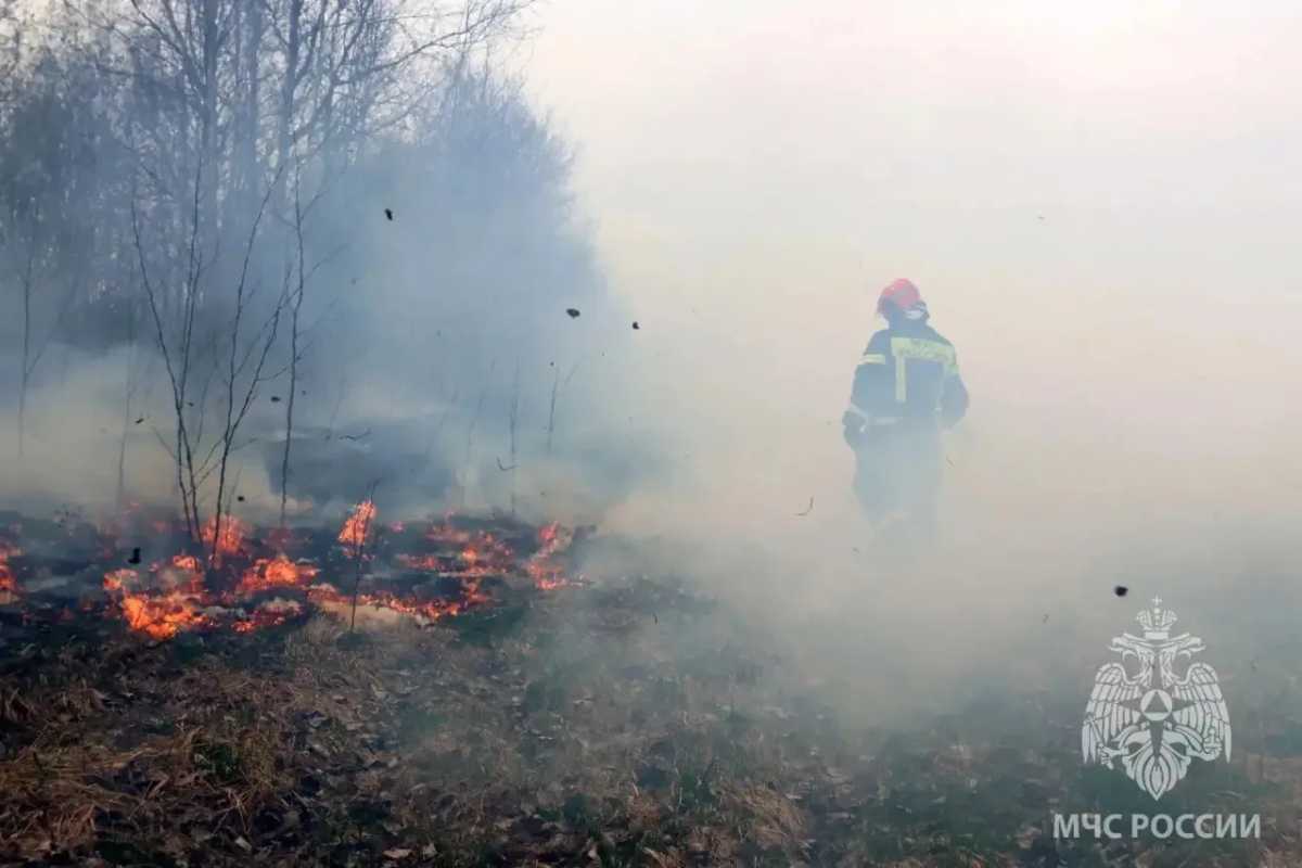 Пожарным удалось спасти три жилых дома и гараж.