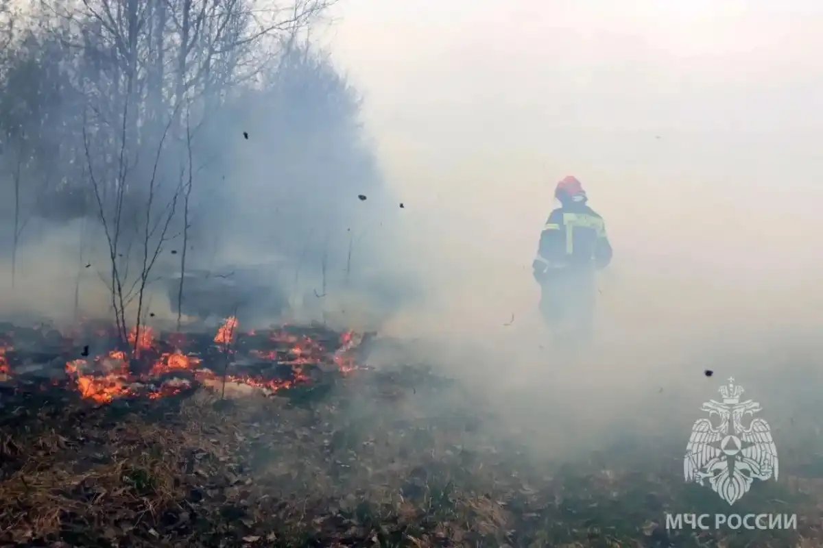 Пожарным удалось спасти три жилых дома и гараж.