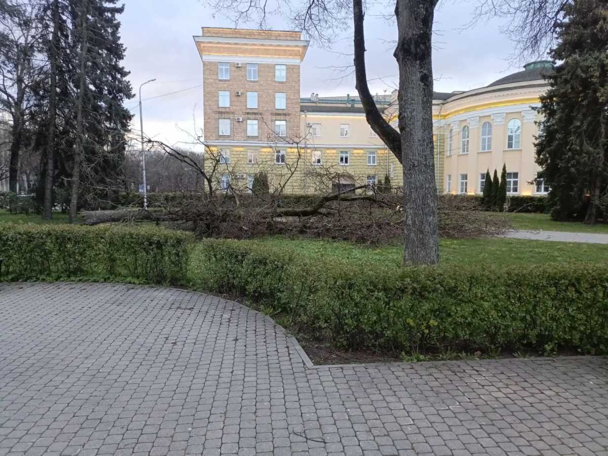 Сильный ветер пока сохраняется в Новгородской области.