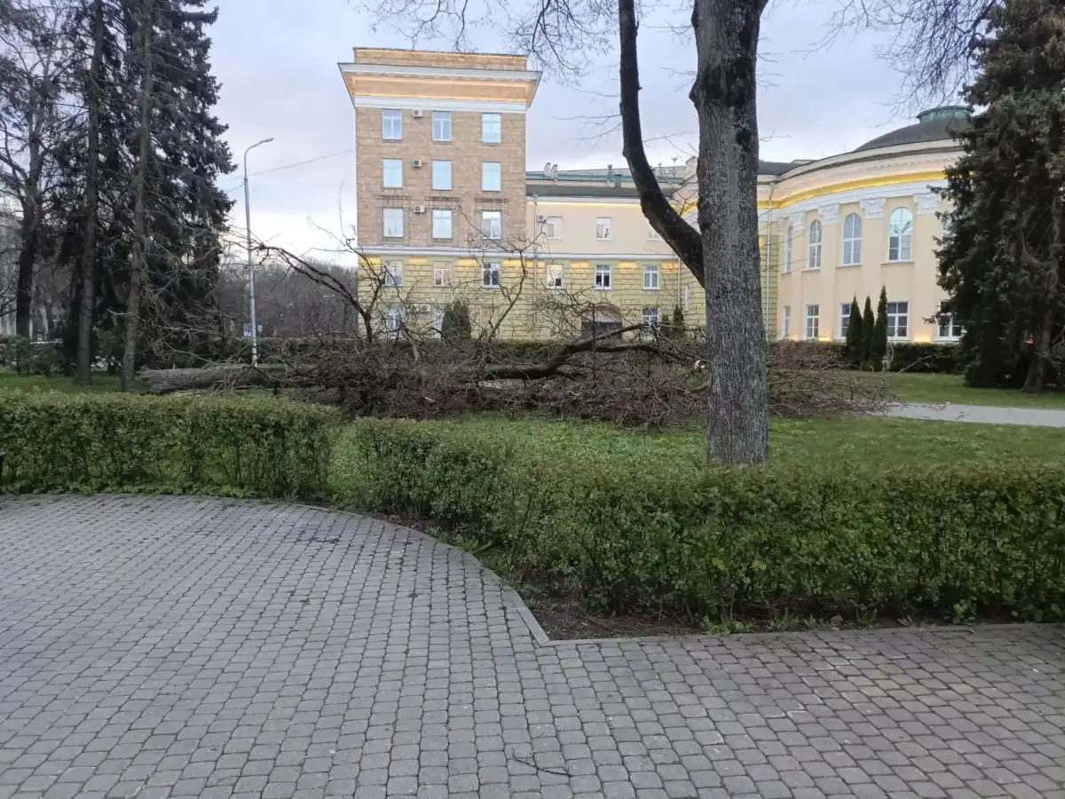 Сильный ветер пока сохраняется в Новгородской области.