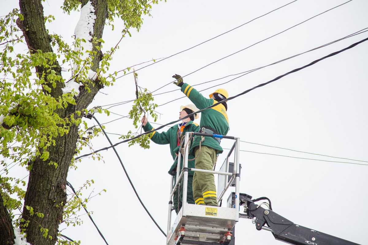 В новгородском филиале ПАО «Россети Северо-Запад» введён особый режим работы.