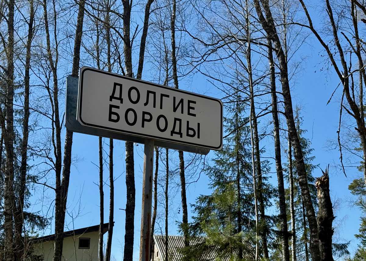 Долгие Бороды — быстрый интернет: «Ростелеком» подключает к оптике еще одну деревню Новгородской области