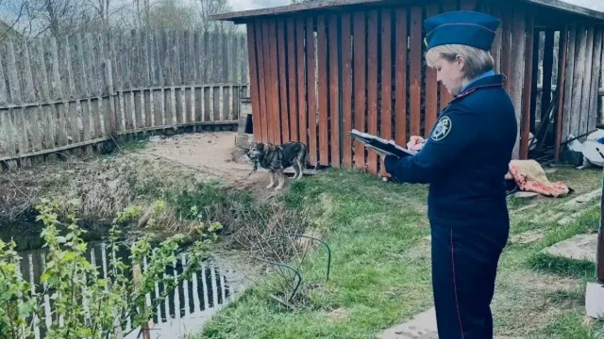 При осмотре тела погибшего видимых телесных повреждений не обнаружили.