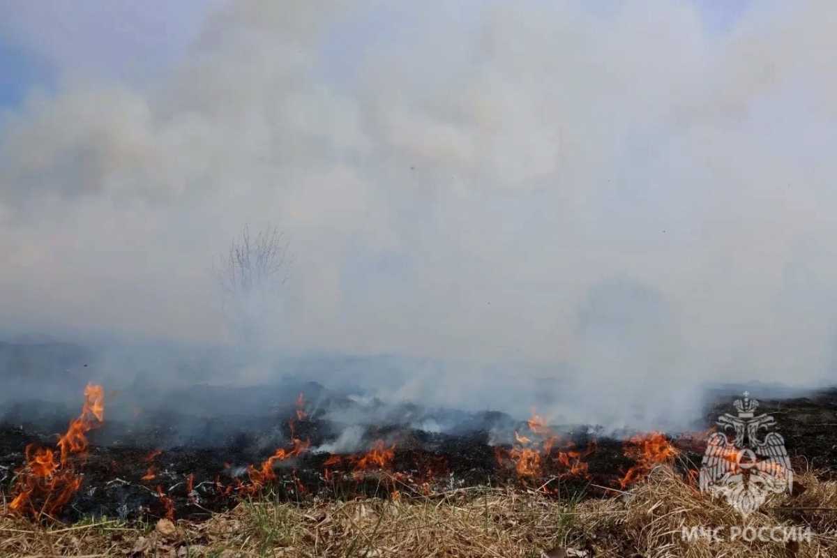 Пал травы зафиксированы в Новгородском, Шимском и Волотовском округах.
