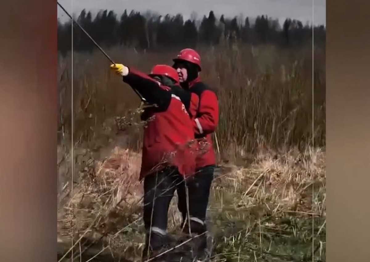 Новгородский филиал компании «Россети Северо-Запад» работает в особом режиме.