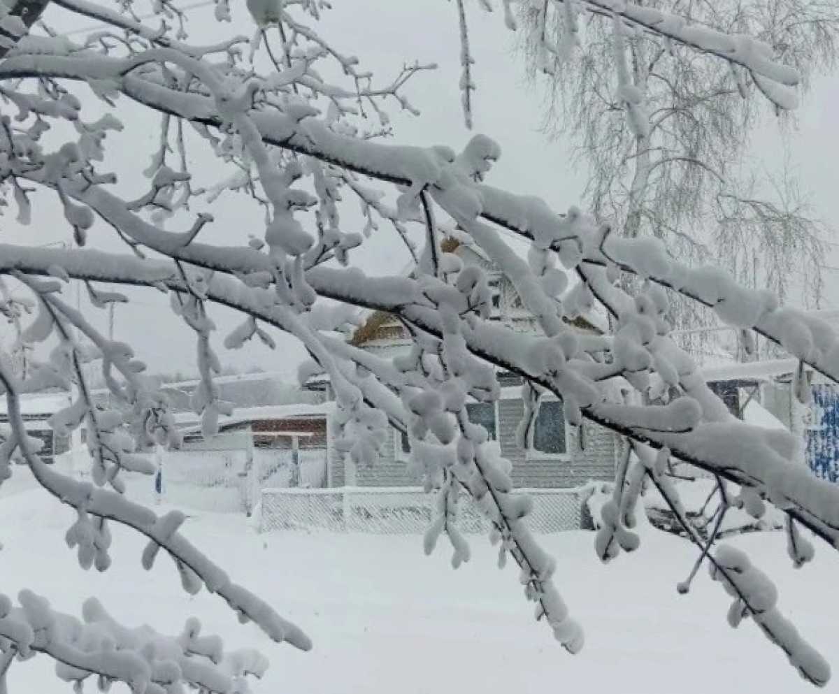 Завтра, 29 апреля, местами в регионе вновь возможны небольшие осадки – мокрый снег и дождь