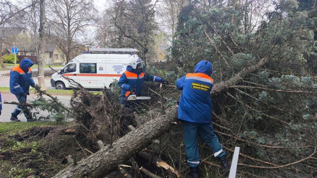 Сильный ветер сохранится в Новгородской области и 29 апреля.