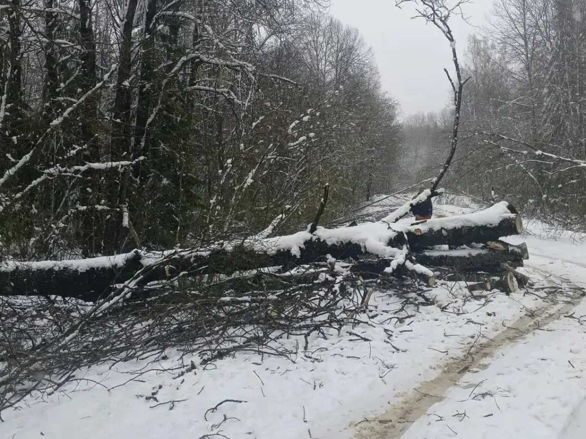 На всех региональных дорогах обеспечен проезд для автотранспорта.