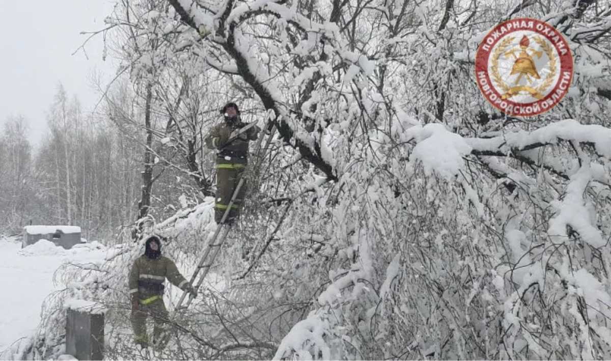 Специалисты будут работать до полной ликвидации последствий стихии.