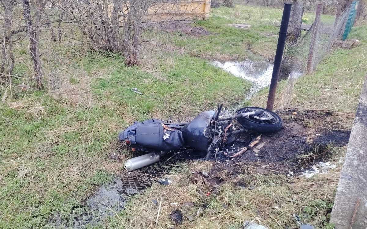 Причины и обстоятельства ДТП устанавливают.