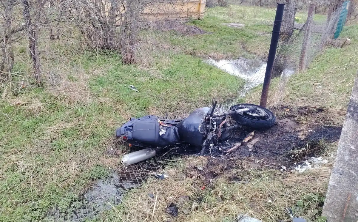 Причины и обстоятельства ДТП устанавливают.