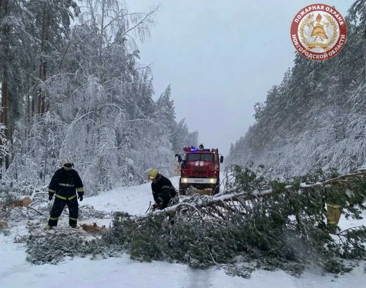 В Пестове без света остаются 4 тысячи человек.