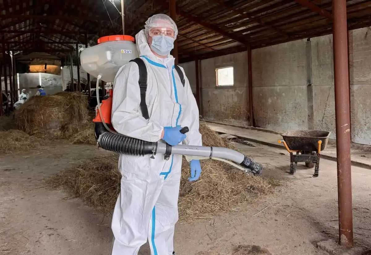 Ветеринары отработали действия на случай выявления подозрений на особо опасные болезни на территории хозяйства.