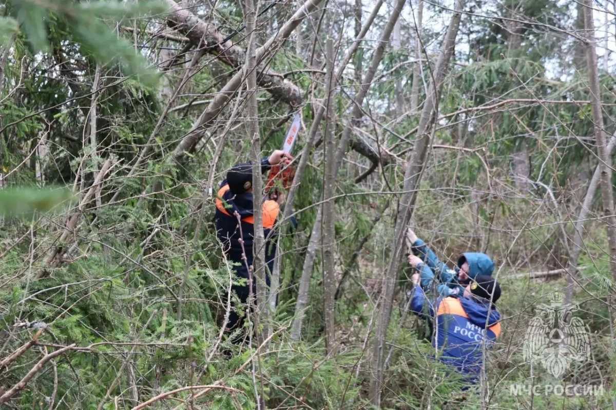 Искать обрывы ЛЭП и убирать упавшие деревья энергетикам помогают сотрудники МЧС.